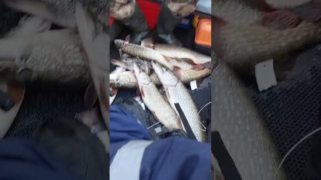 Рыбалка в ноябре🐟