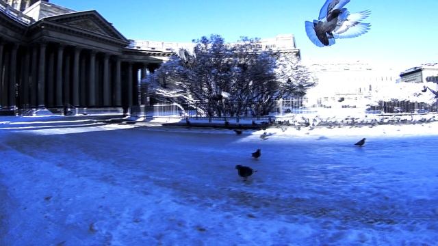 По переулкам - Михаил Крутихин | Official video |