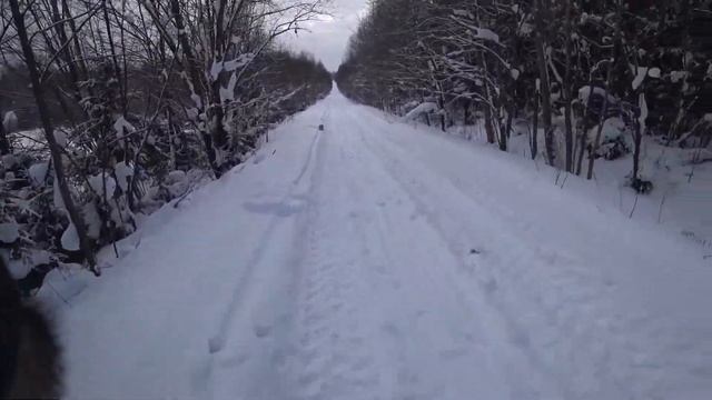 Hatsan 125 TH Стрельба 30 и 60 метров.