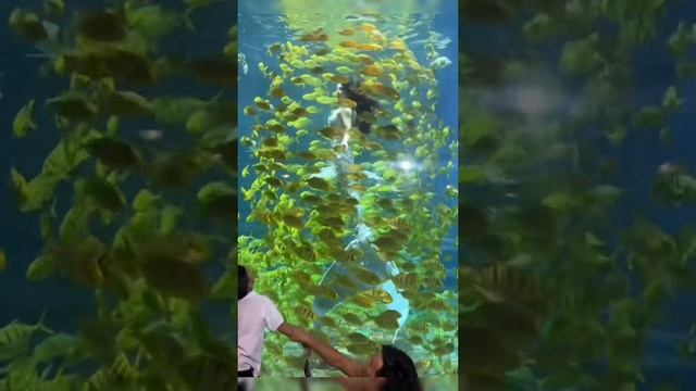 Русалка 🤩 Очень красиво получилось 😀