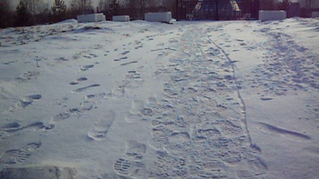 11 ноября 2024 Подведение итогов за 1 декаду ноября Содержание и уборка территории Н.Тагил Вагонка