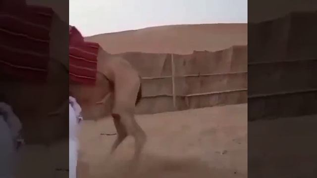 1000003218.mp4