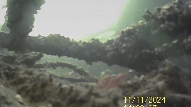 1000031847.mp4Волга гл.4м.11.10.2024г.