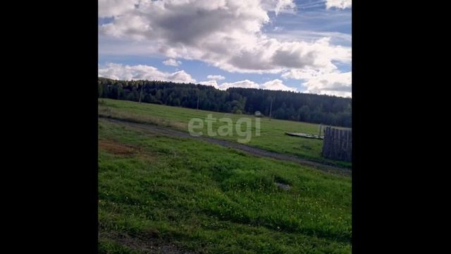 1000103669.mp4