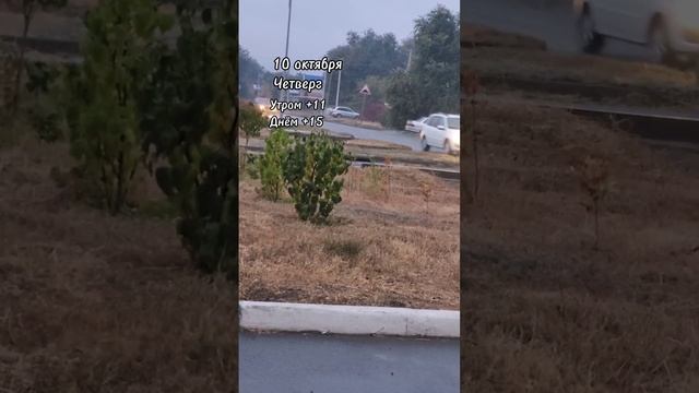 scene_output.mp4