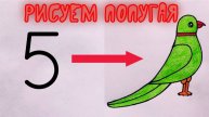 Как нарисовать поэтапно Попугая из номера 5 | Учимся рисовать на Рутуб