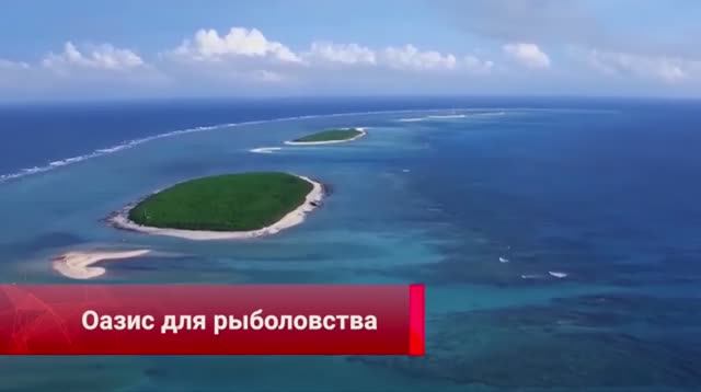 Благоустройство архипелага в Южно-Китайском море изменило облик рыбного промысла