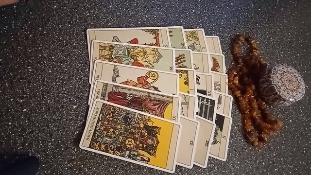 VID_20241111_155700.mp4