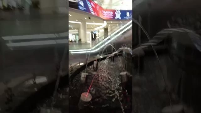 scene_output.mp4