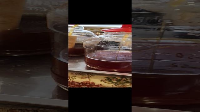 Фильтрация домашних напитков