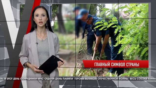 В Волгограде спасатели привели в порядок территорию у памятника героям ВОВ
