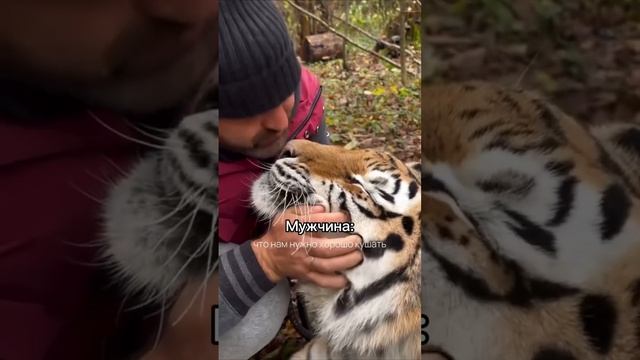 А тебя уже подготовили к зиме?😂