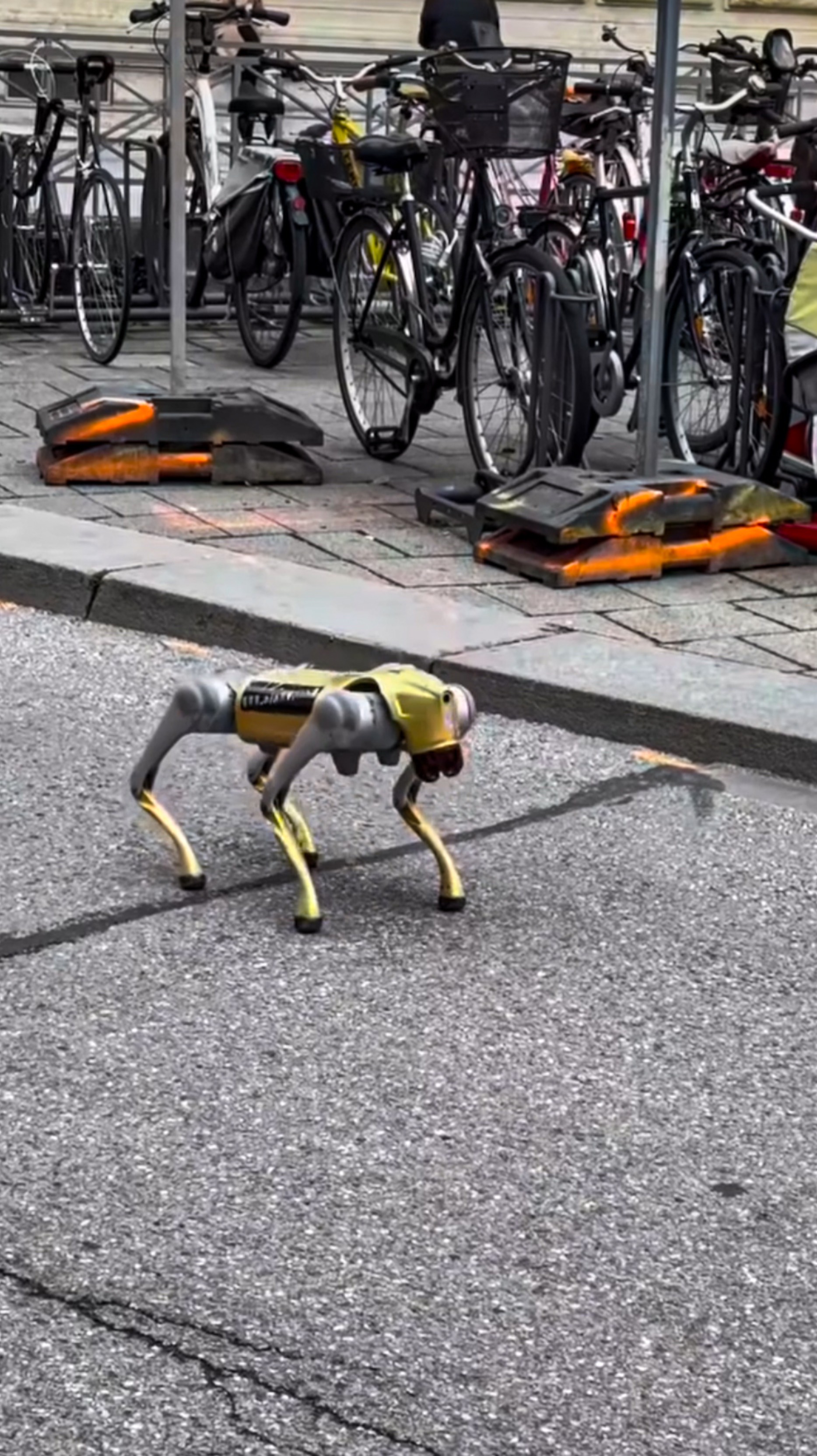 🤔КАК ВЫЖИТЬ СОБАКЕ ПРИ АТАКЕ РОБОПСА🤖
#юмор #шутка #лайфхак #животные #авто #самолет