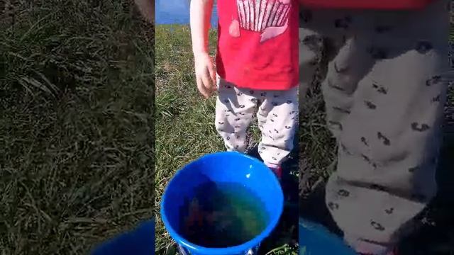 1000022397.mp4