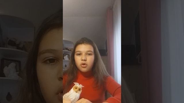 не ДОВЕРЯЙ☠️💀🆘