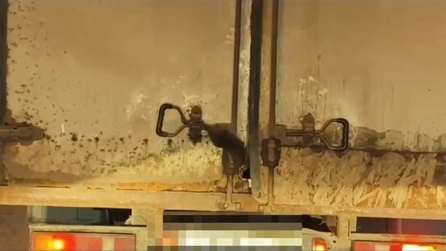 В Химках заметили хвостатого пассажира, который ехал зайцем как крыса
