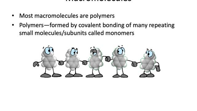 Chemistry of Life Part 2