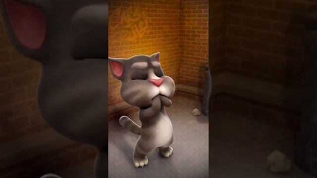 #myTom