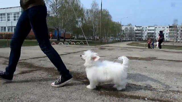 по кругу