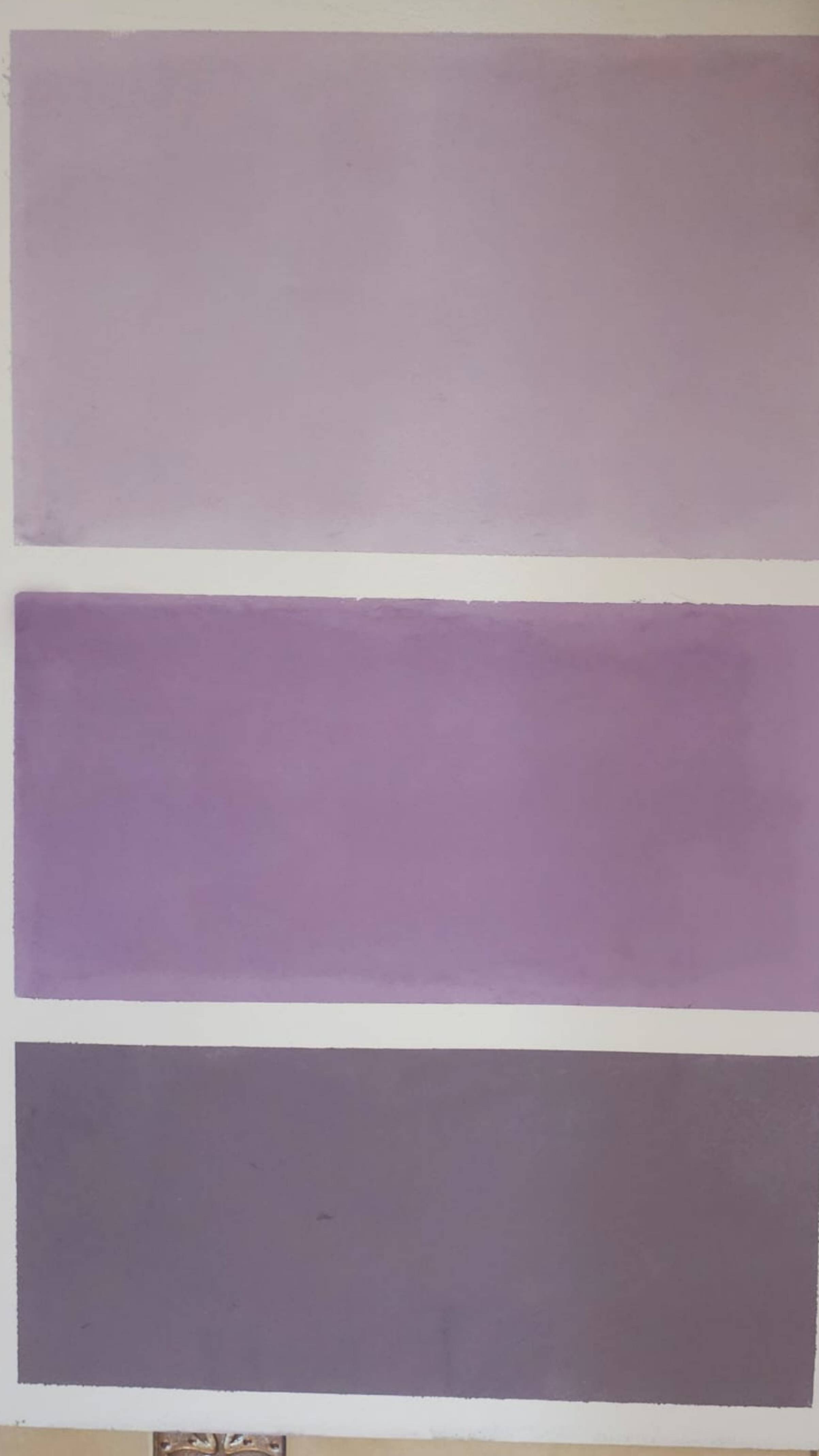 МОСКОВСКИЙ ДЕТСКИЙ ЧЕМПИОНАТ МАСТЕРЯТА 2024-2025
КОМПЕТЕНЦИЯ «МАЛЯРНЫЕ И ДЕКОРАТИВНЫЕ РАБОТЫ»