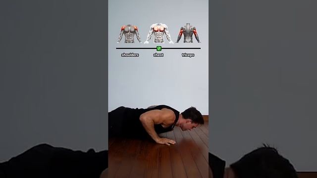 Push up variations ✅
