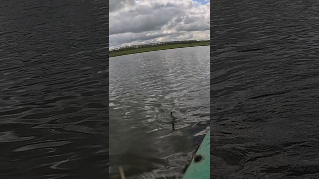 Авторская свечка от щуки #рыбалка #щука #fishing #нутыищука