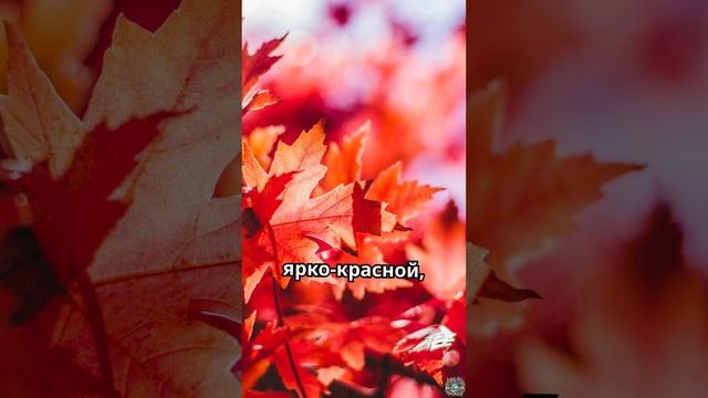 Озёра, где вода меняет цвет в зависимости от времени года 🌈