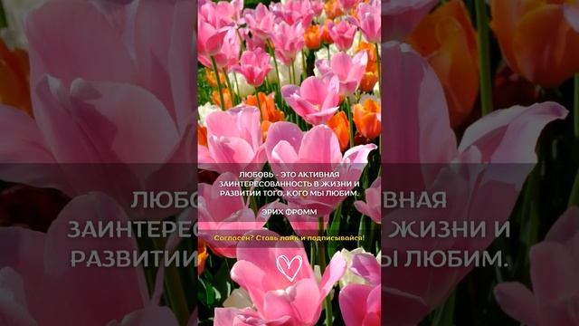 Что такое Любовь?