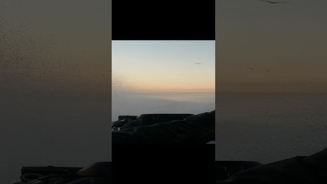 VID_20240910_060423.mp4
