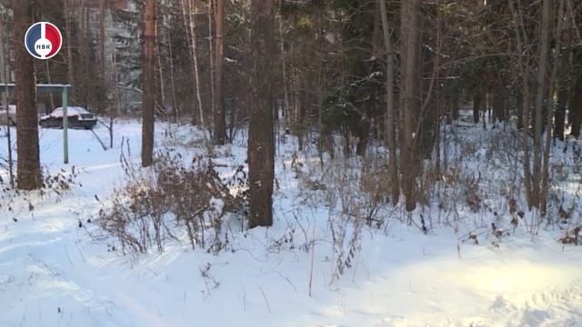 Благоустройство внутриквартальных территорий Новоуральска. Квартальный Татьяна Курзанова