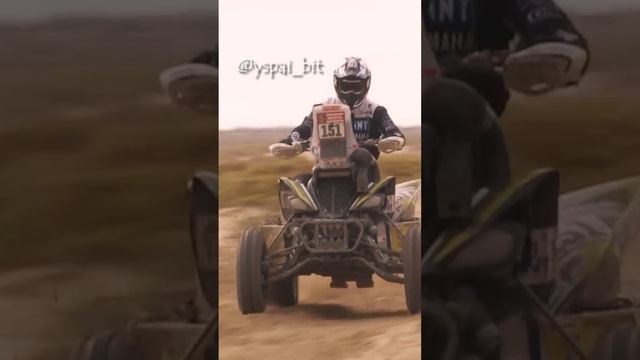 -1821638571791968745