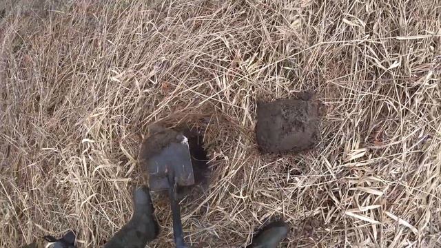 Коп-разведка на Ниве! Первый выезд в 2023 году. #35metalloff #Вологда #2023