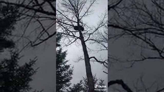 1000022387.mp4