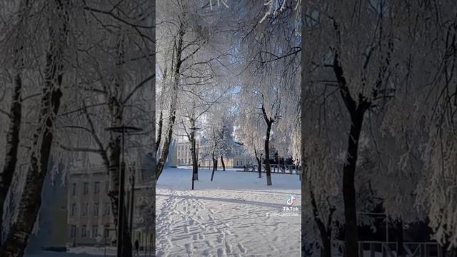 Дмитровск