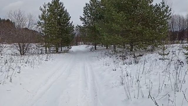 Я по первому снегу иду.