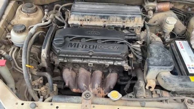 446 Kia Rio