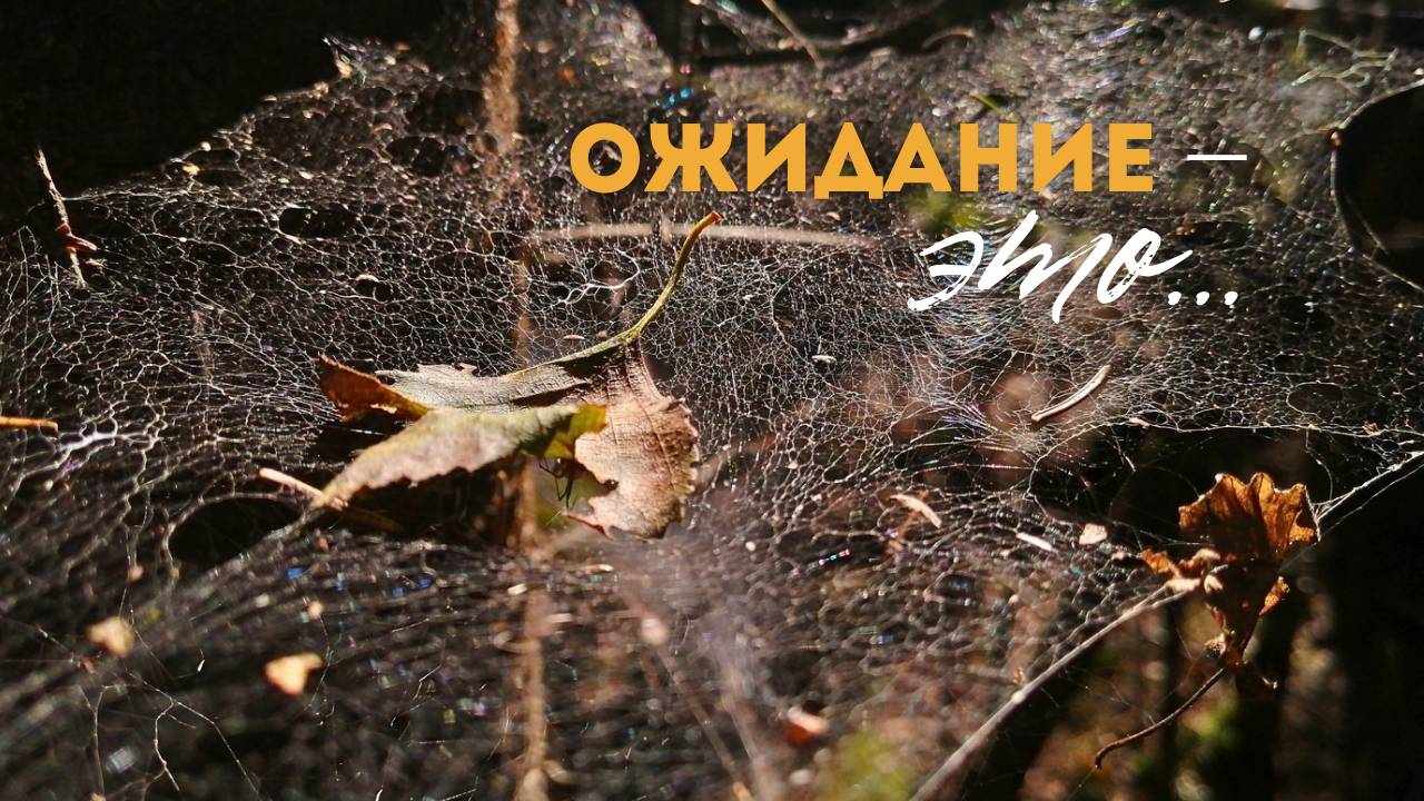 Чего ты ждёшь? Свидетельство: