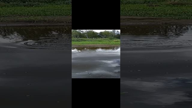 1000045889.mp4