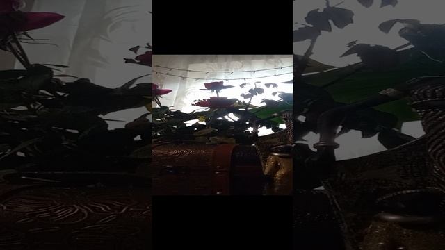 Таро.Помощь ангела.