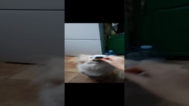 Семëн