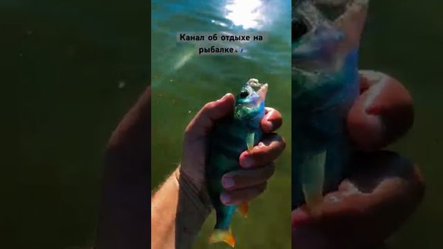 Вечерний выход на воду в черте города