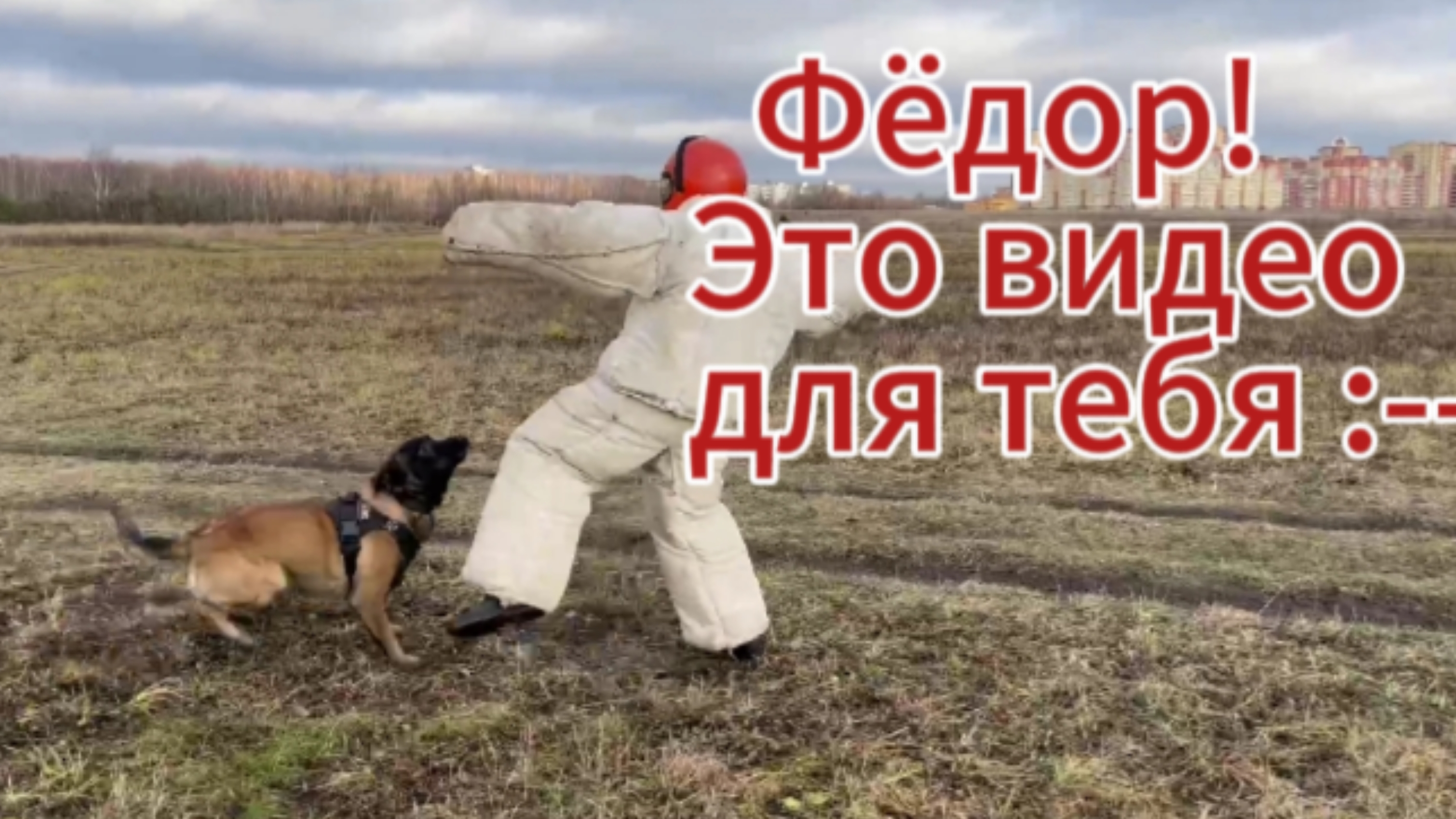 Можно ли отбиться от РУЧНОЙ собаки ногами?