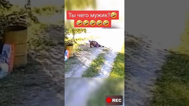 1000003222.mp4