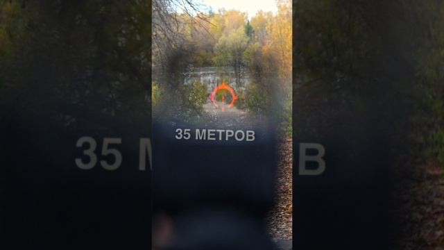 Рябинострел справился? 😳 #орбиз #gelblaster