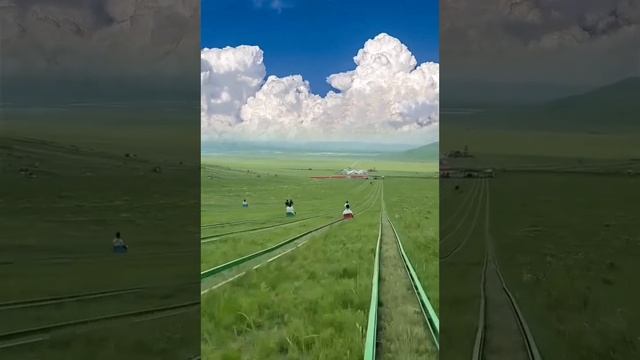 мы всегда дети в душе