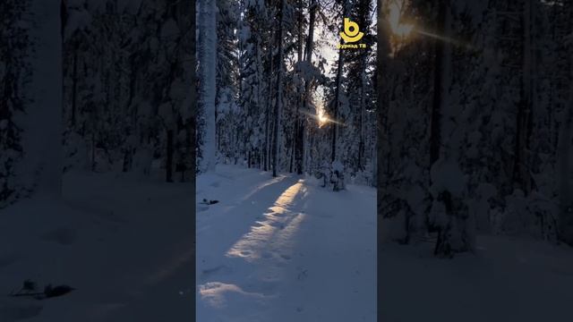 Буряад оронойнгоо гоё һайханиие адаглыт! 🏔️