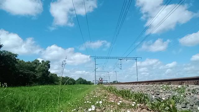 ЧС4т-599 с поездом Минск-Анапа на перегоне Бобруйск-Мирадино.