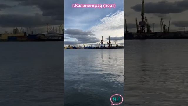 Порт Калининград