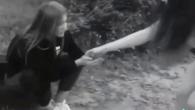 1000018733.mp4