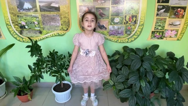 Саидвафаева Фариха, МАДОУ № 33, г. Хабаровск